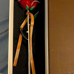 I hate Steven Singer red gold dipped rose